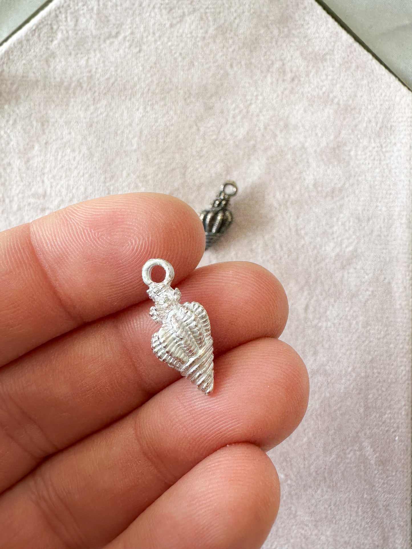 Conch Shell charms