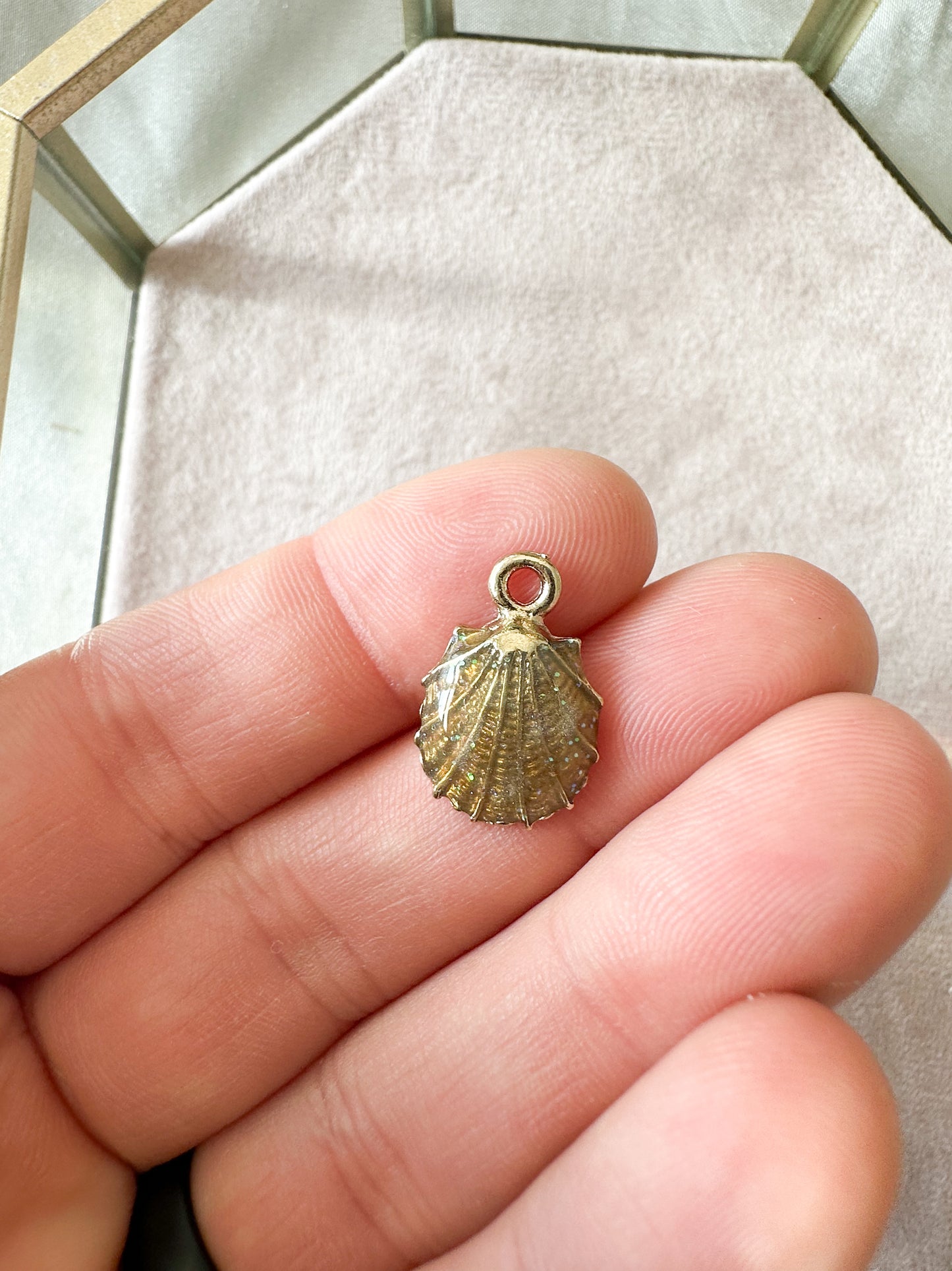 Beach Shell charms