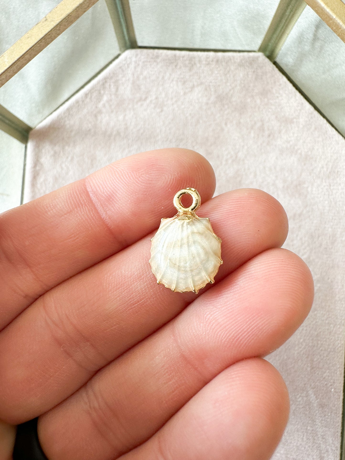 Beach Shell charms